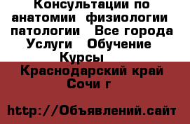 Консультации по анатомии, физиологии, патологии - Все города Услуги » Обучение. Курсы   . Краснодарский край,Сочи г.